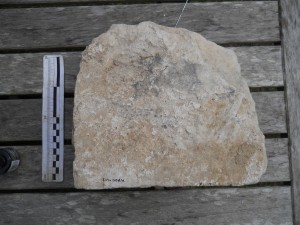 Ashlar from Hyde Abbey wall foundations H900-49-2